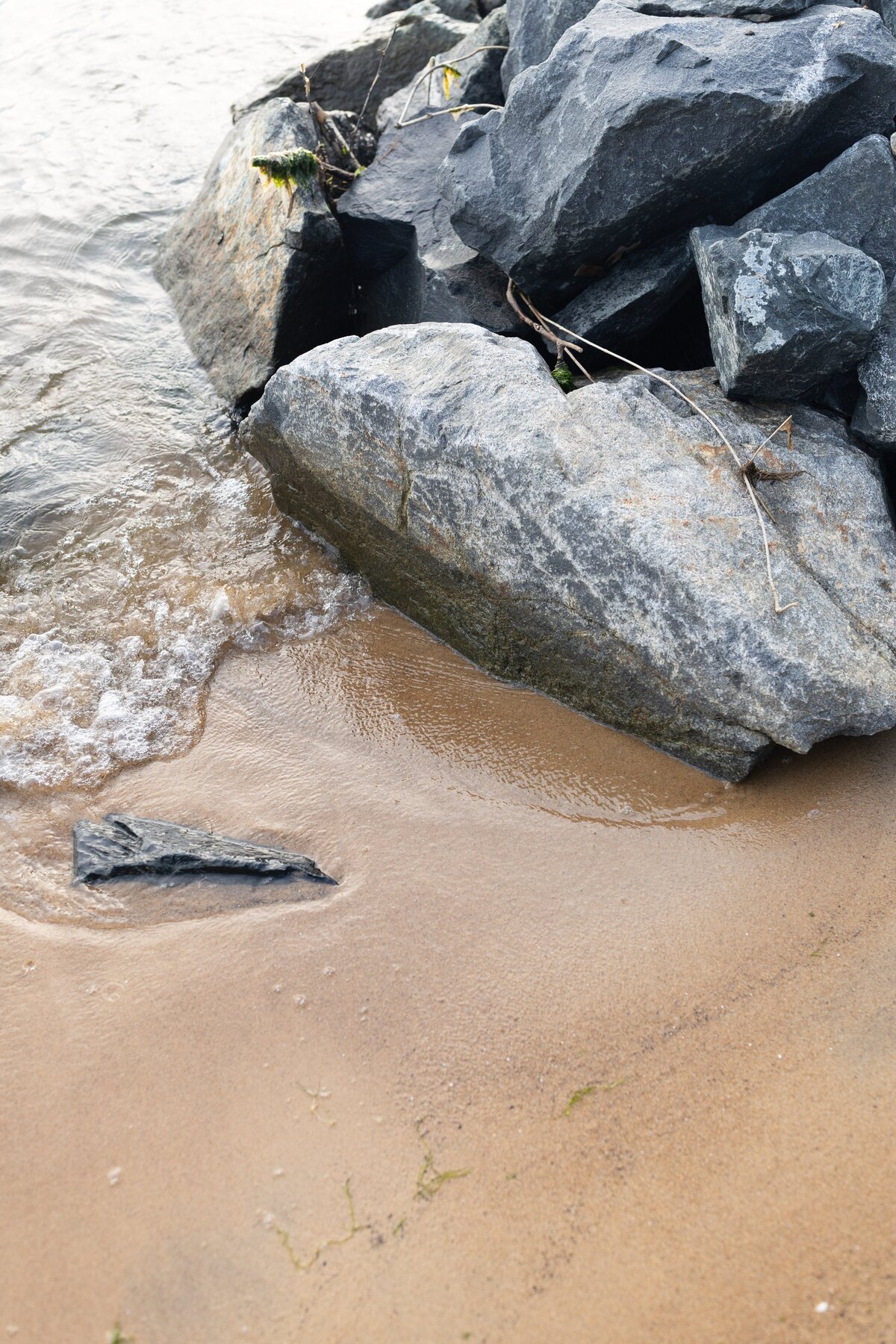 Chesapeake Bay Beach Club Wedding Photographer_0183
