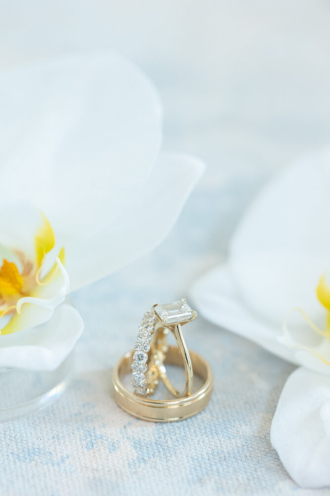 ArianaNicolePhotography-0008-8