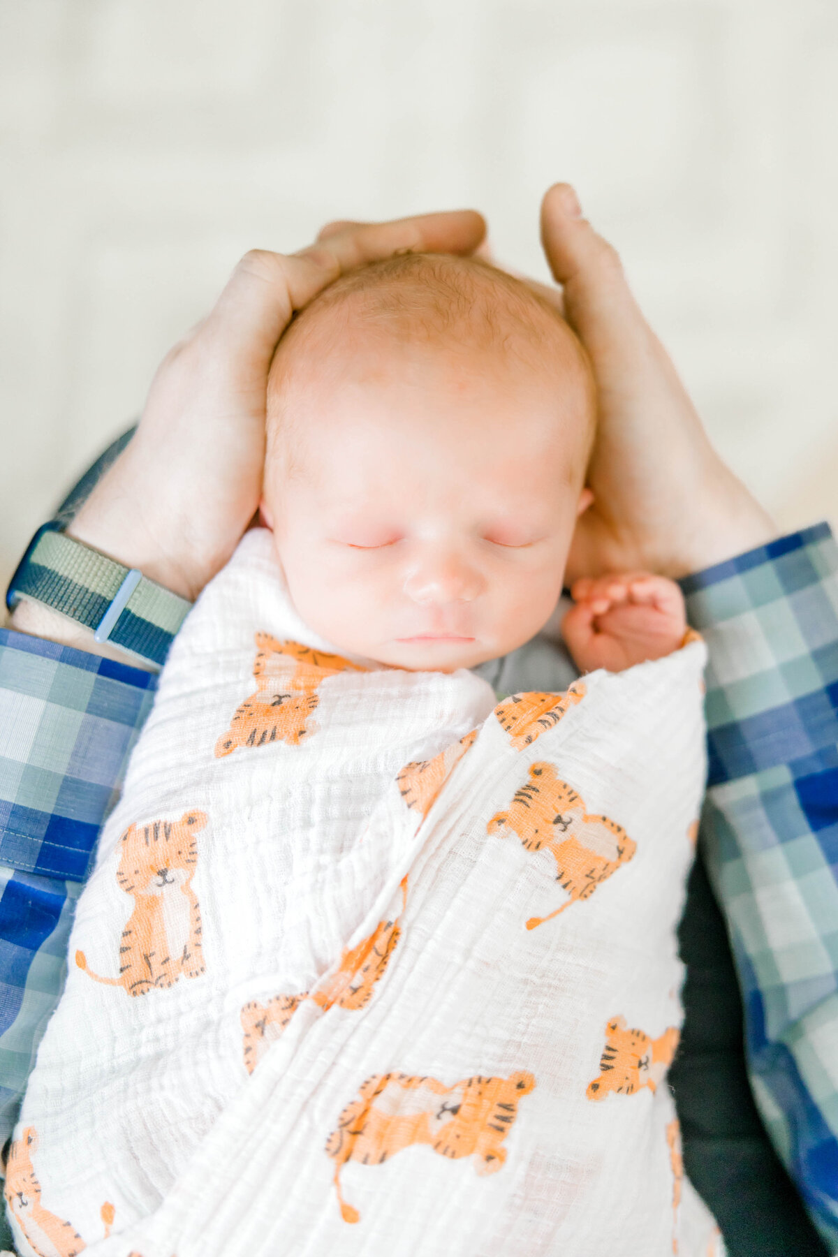Powell Newborn-82