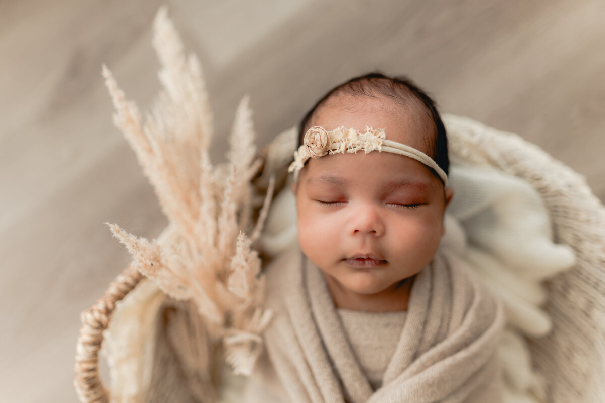 Elizabeth Priniski Madison Newborn Photogapher - Surya-3