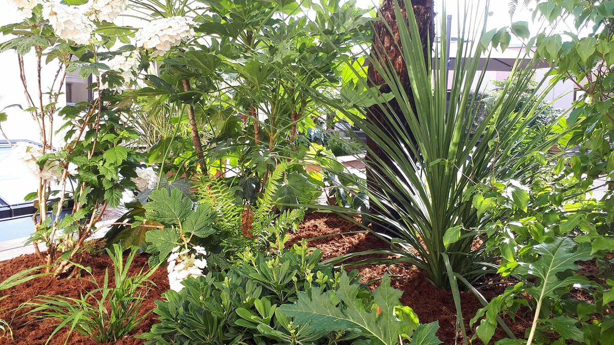 Plantes vertes dans un par-terre et palmier