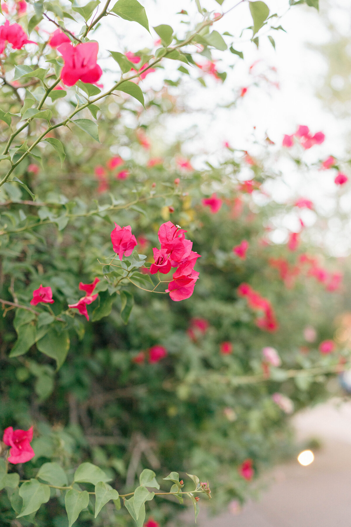 Arizona Wedding Photographer 134