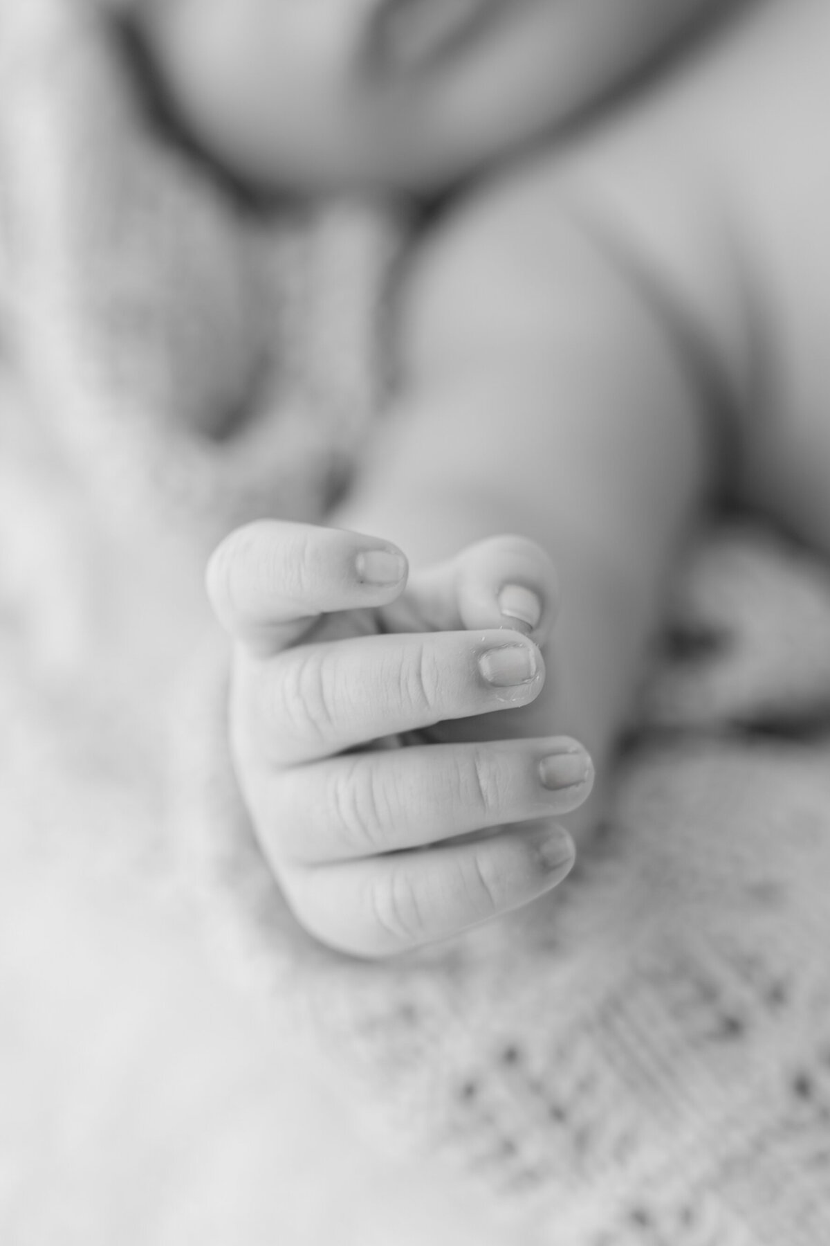 Close up of newborn's hand during natural light Barrie newborn photography session 