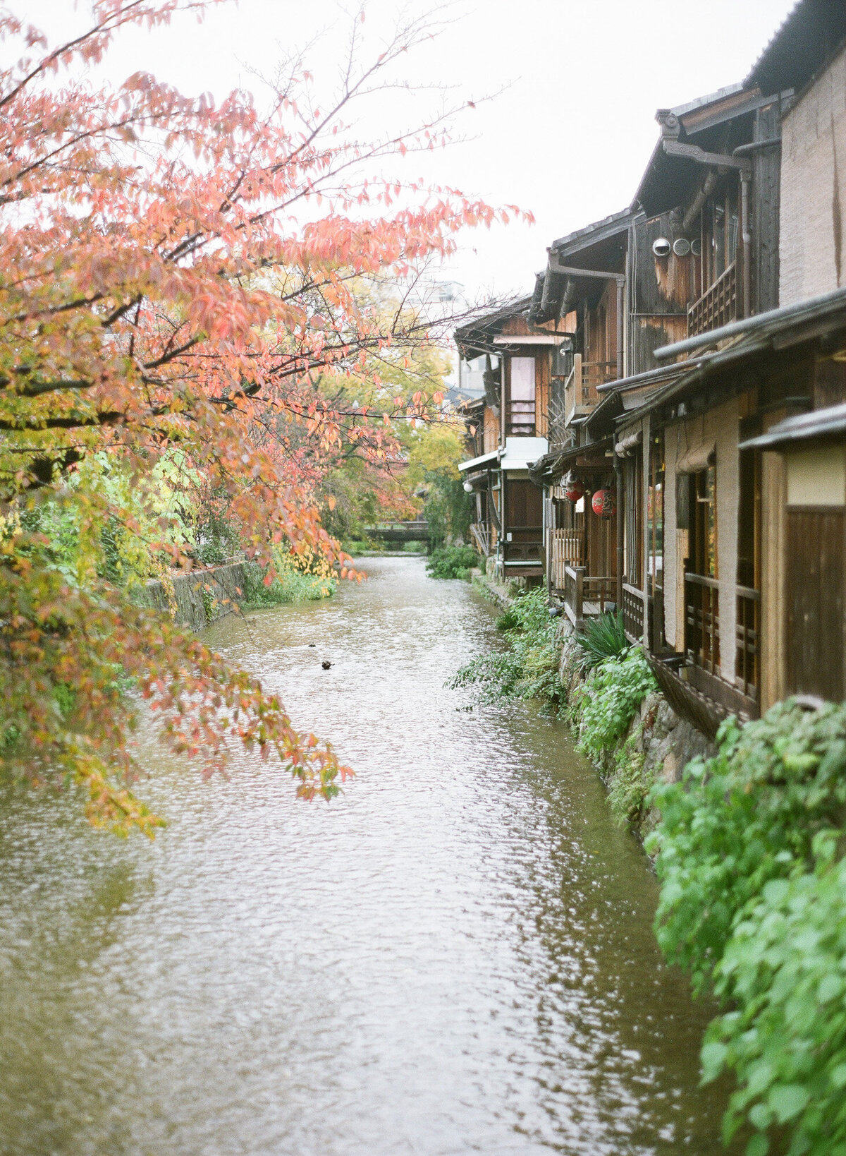 kyoto-prewedding-raymond-vivien-4