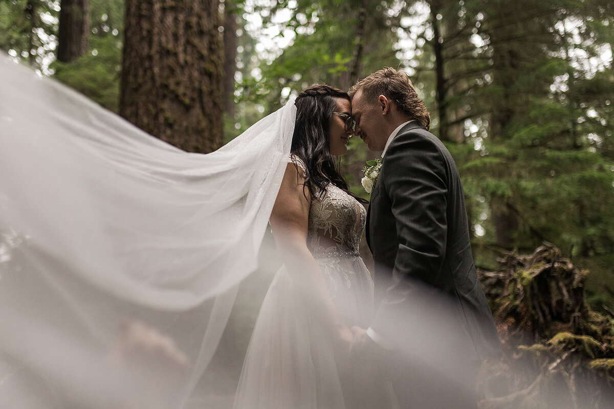 Olympic National Park Elopement  - Tara Nichole Photo - 2023 - Kyle and Keaton-147