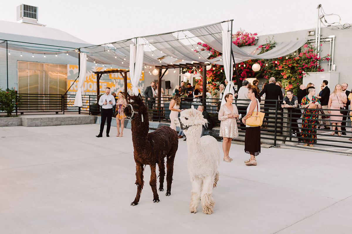 E+D -  Las Vegas Wedding - The Combs Creative - The Doyle Las Vegas - Casanova Events (364 of 650)