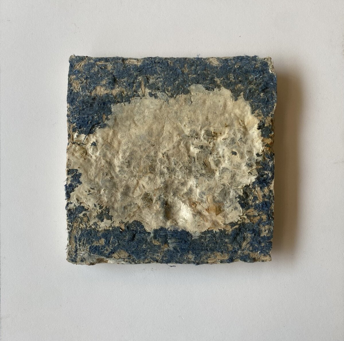 Mycelium Composite_Denim Fiber