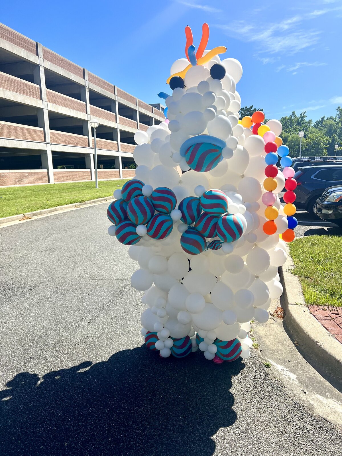 maryland - balloons -184