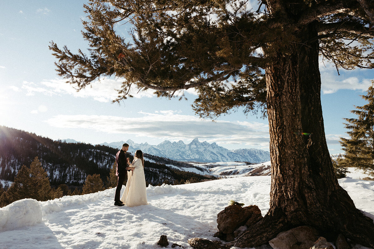 JacksonHole-DallinHassard-1362