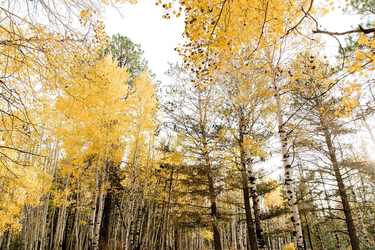 Arizona Portrait and Brand Photographer | MK Studios_0080