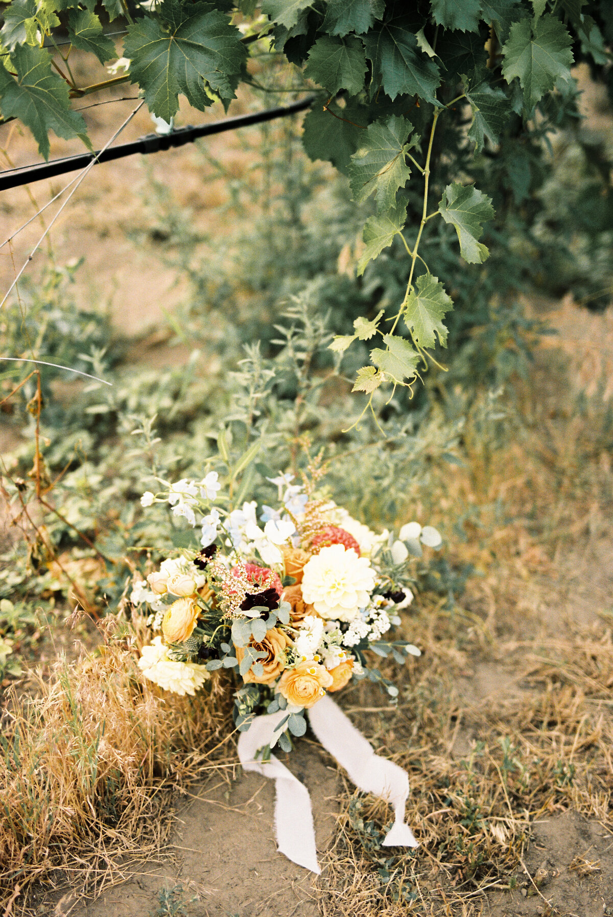 Cynthia-Louis-Monte-Creek-Winery-Wedding-Elopement-Film-0026