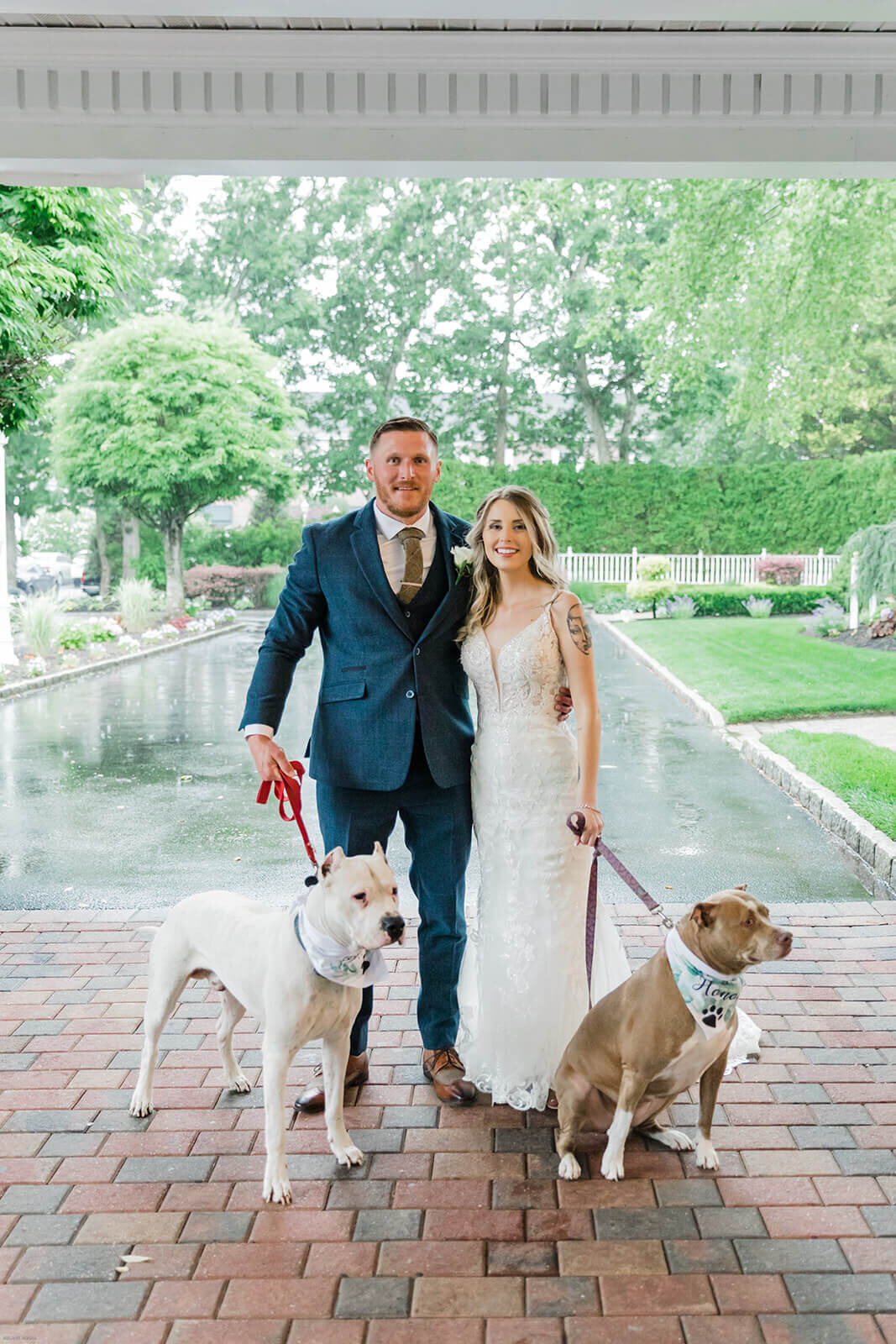 Bride and groom with dogs