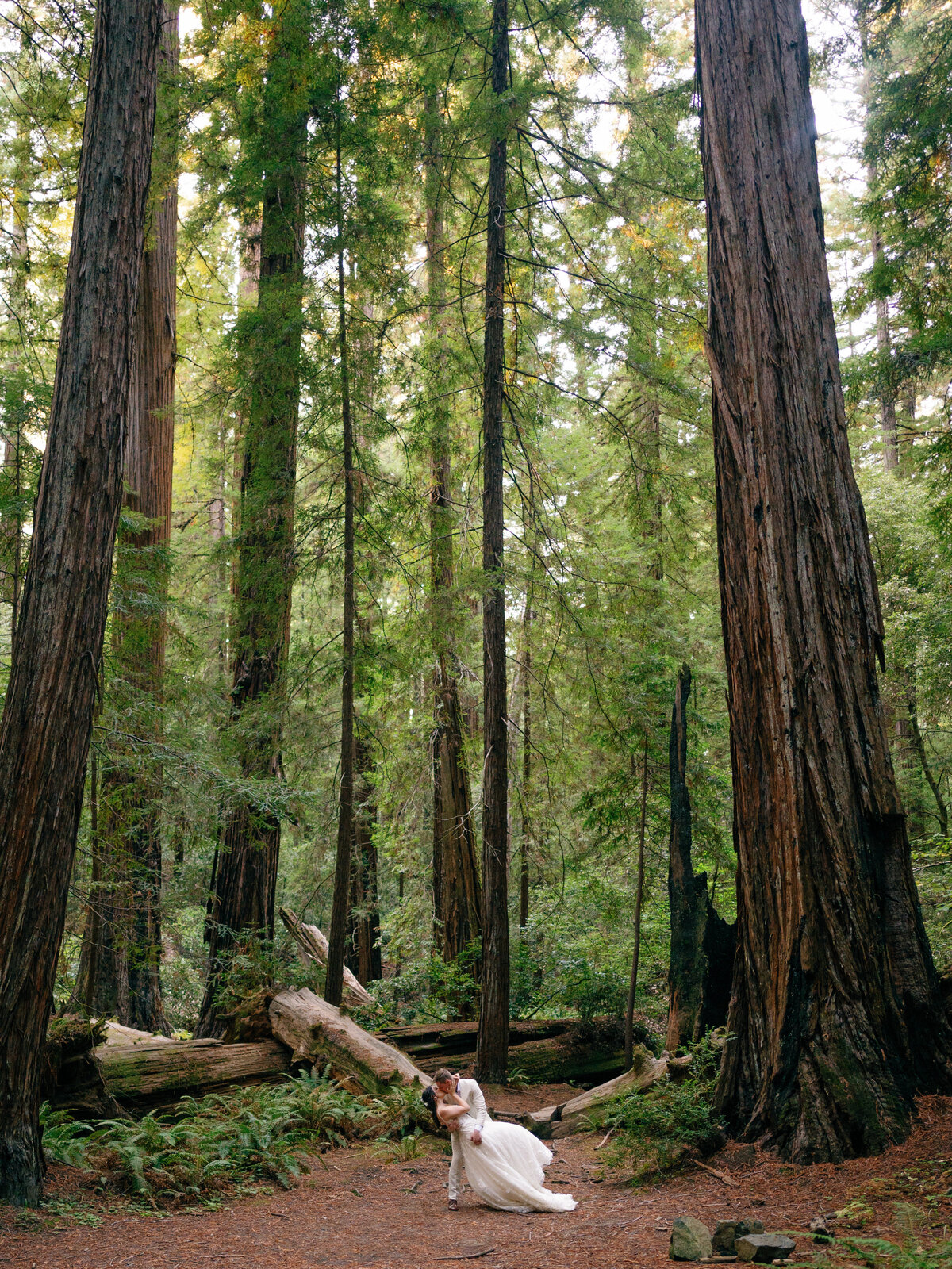 RedwoodsCalifornia-31
