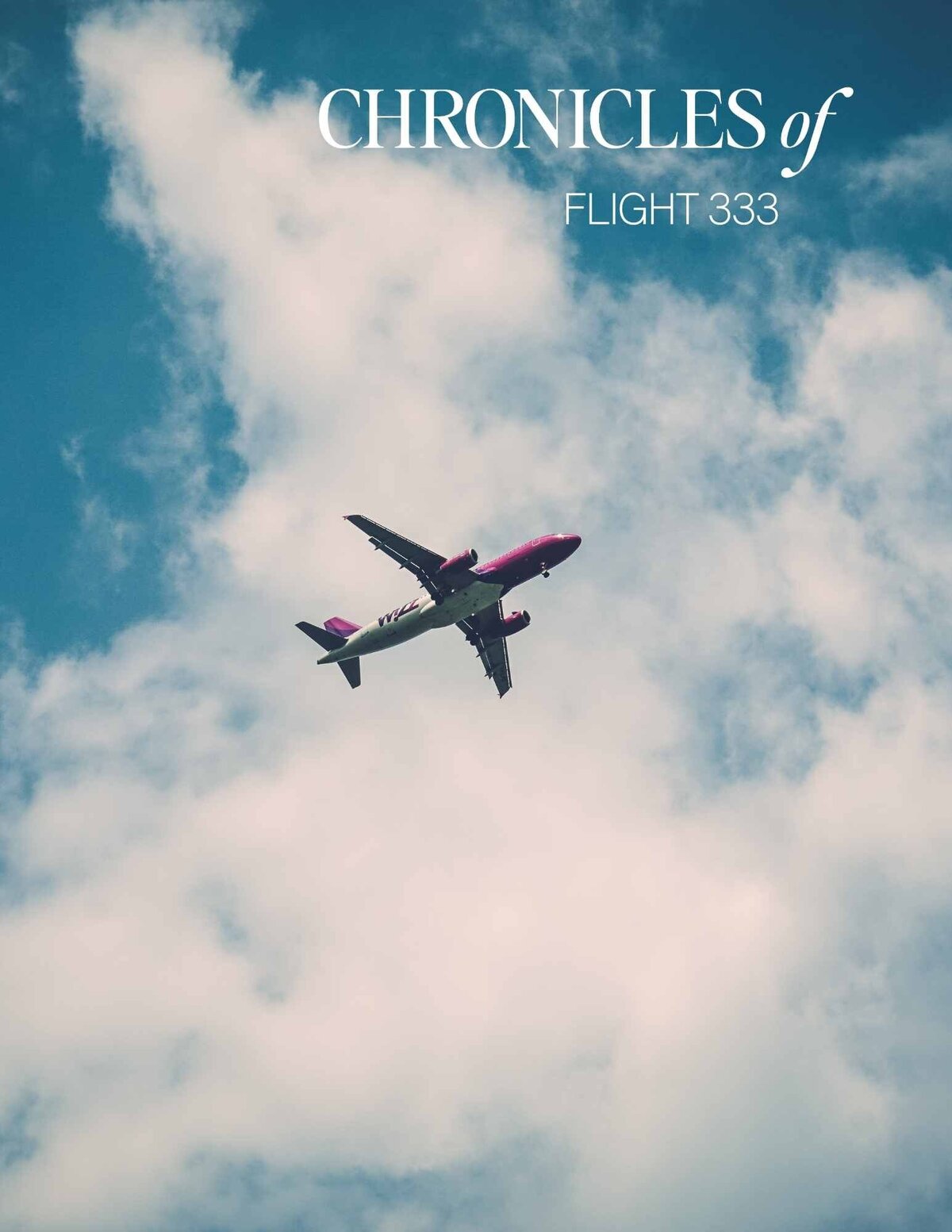 chronicles of flight 333
