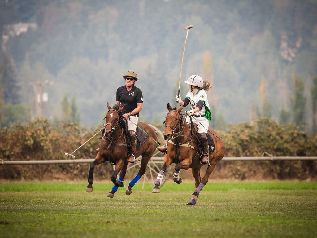 20220911_kya-photography-equestrian-photographer_0017