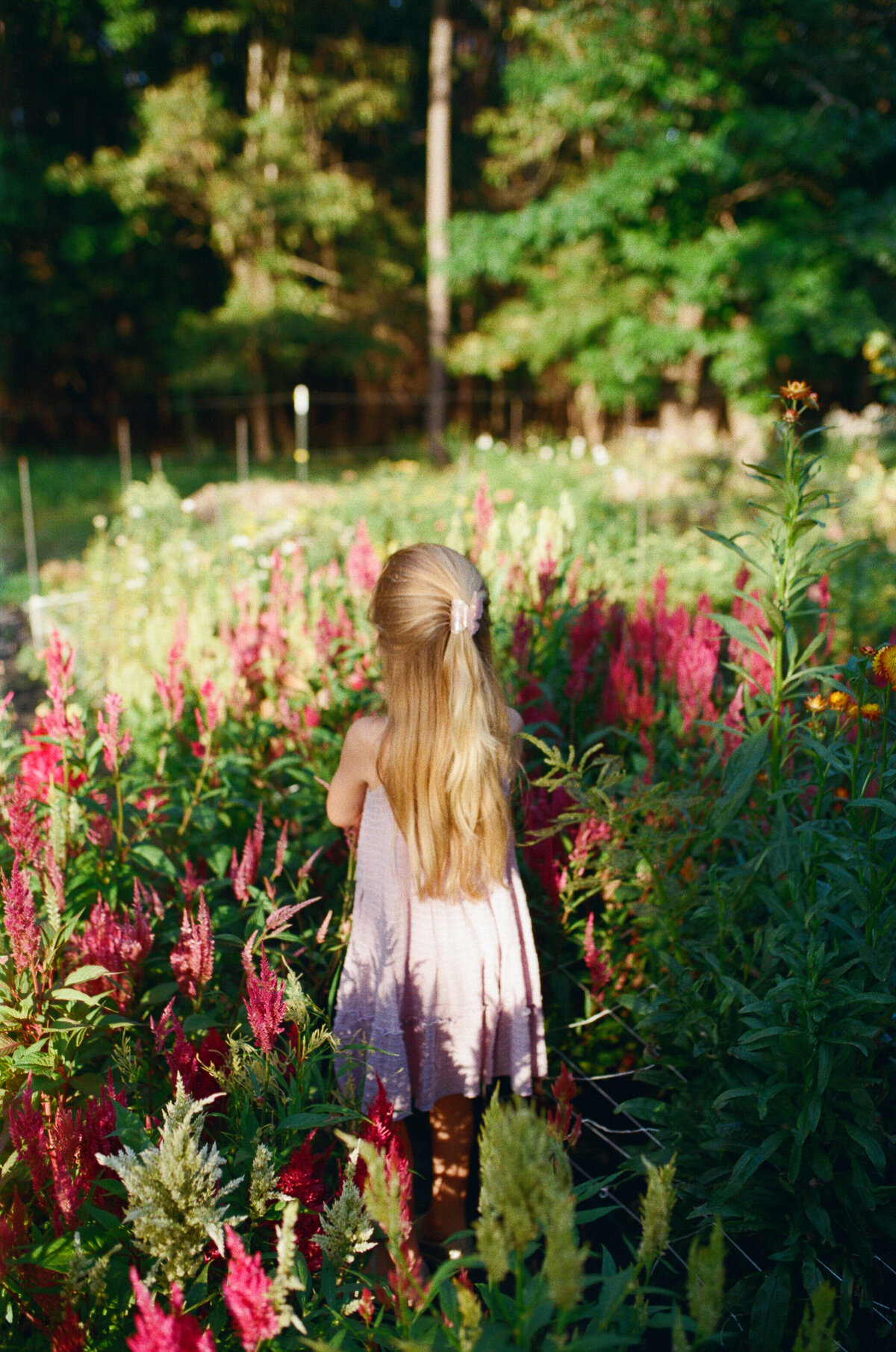 35mmFILM_WildersFlowers_Family_Nouvel_19