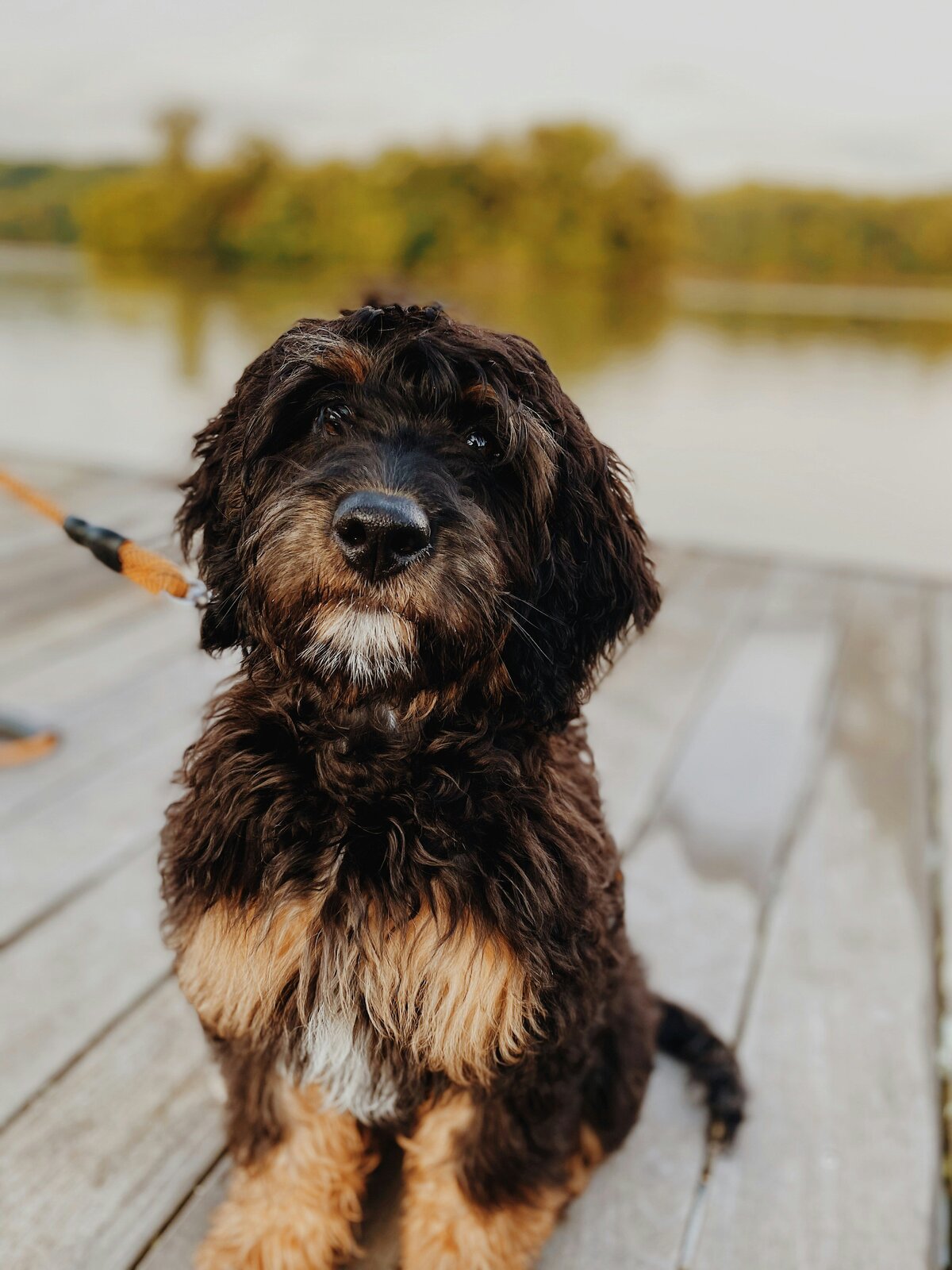 madalyn-cox-IKIpQKTD5Pg-unsplash