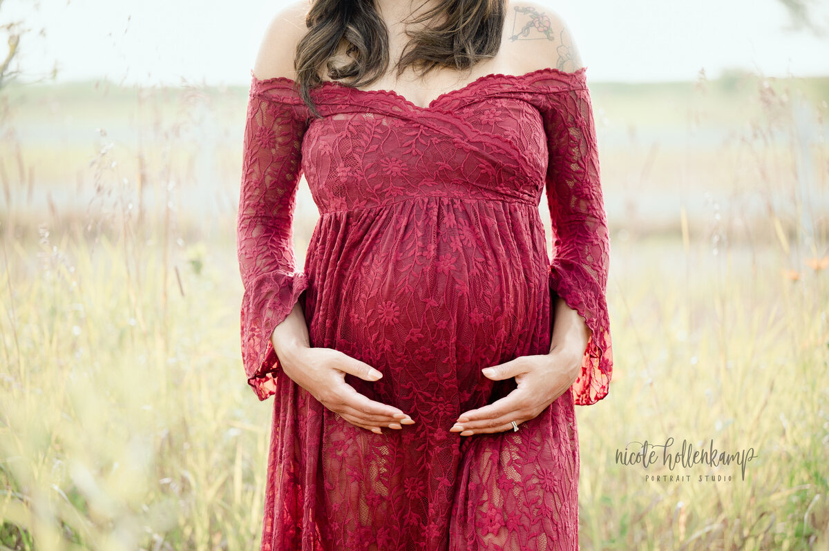 344-Central Minnesota Newborn and Maternity Photographer -  Nicole Hollenkamp - Princeton MN, St Cloud MN0724