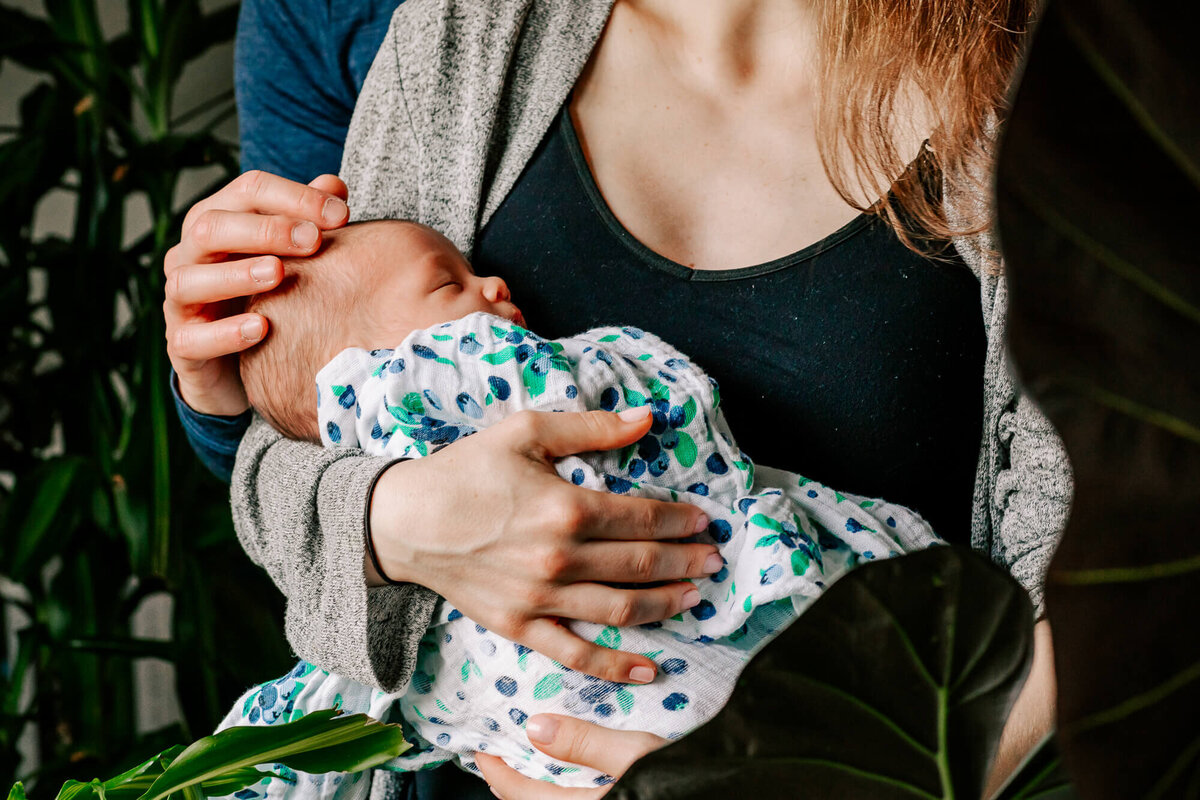 boston-newborn-photographer-6