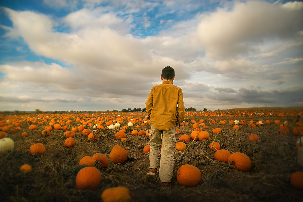 pumpkin-patch-boy-walking-sky-big-clouds-anderson-farm-erie-colorado