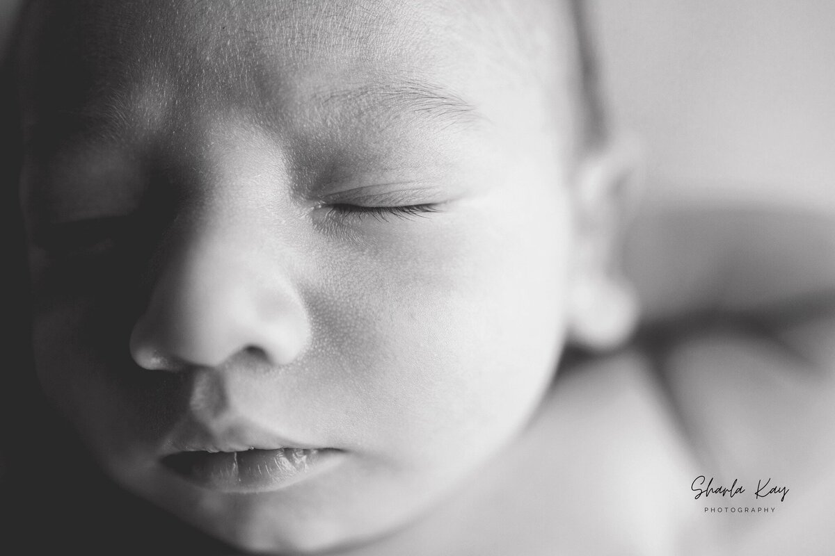 495611362_1236262095169674_4403025715393375437_n