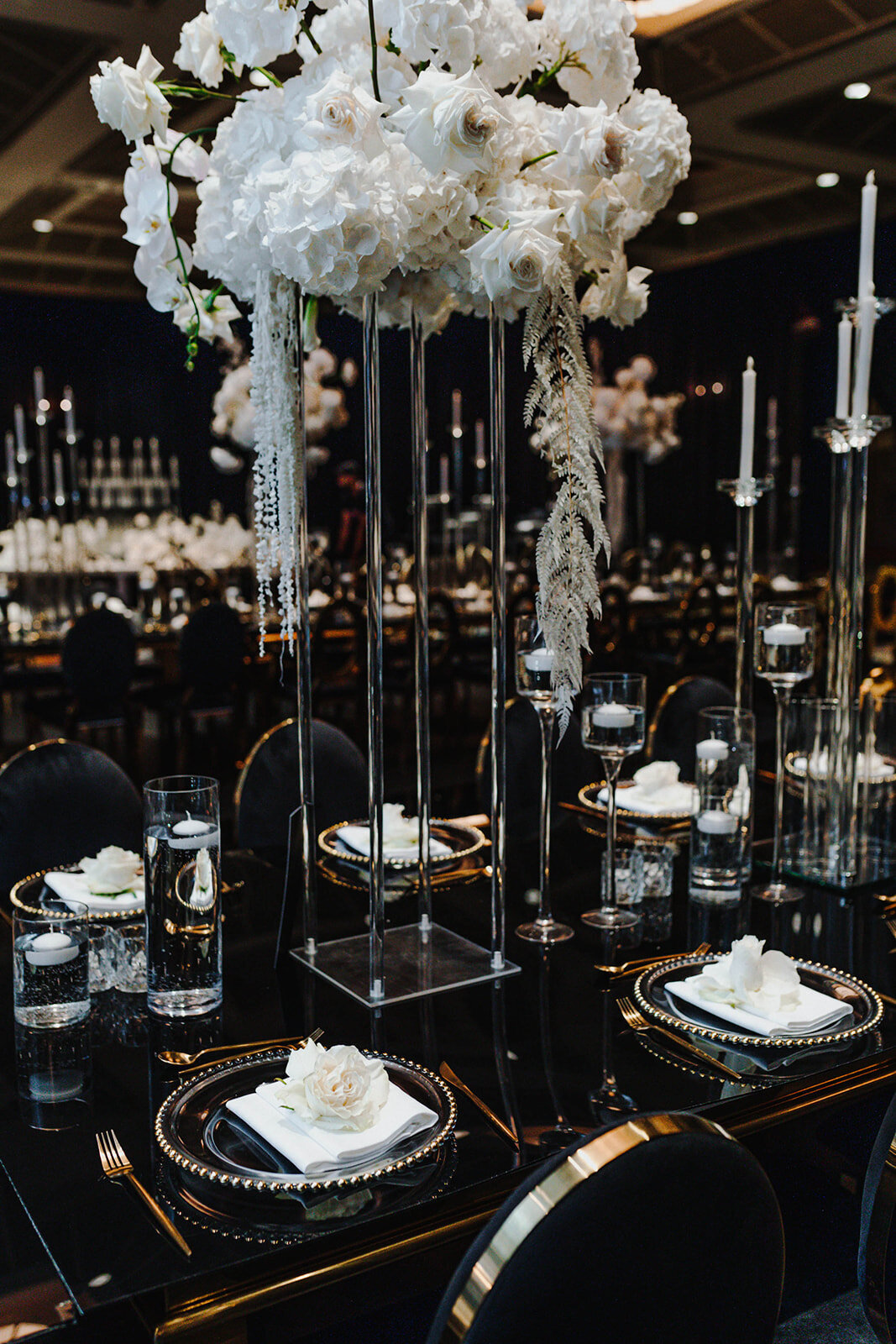 DekkoUStudio_Fairmont_Aug14-46_websize
