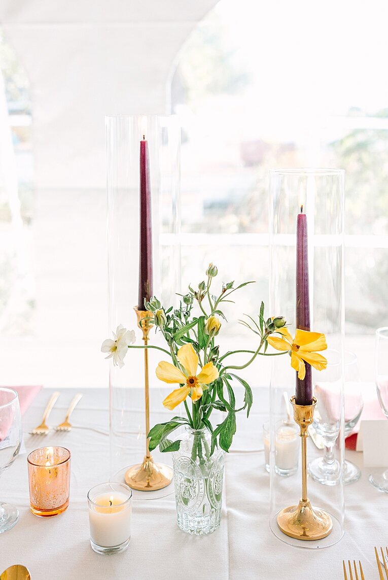 holland-lake-michigan-stellaluna-events-grand-rapids-wedding-photographer_0023
