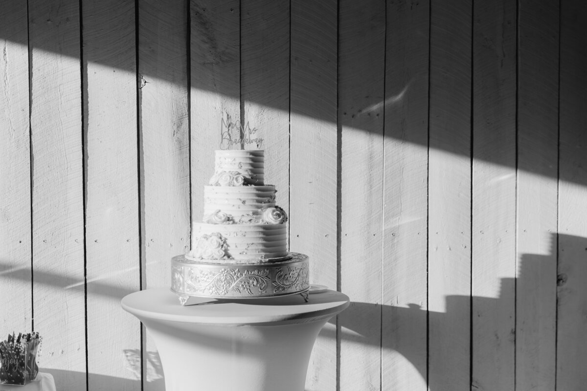 BrandiIsaiah_Wedding_previews_10.06.24-90