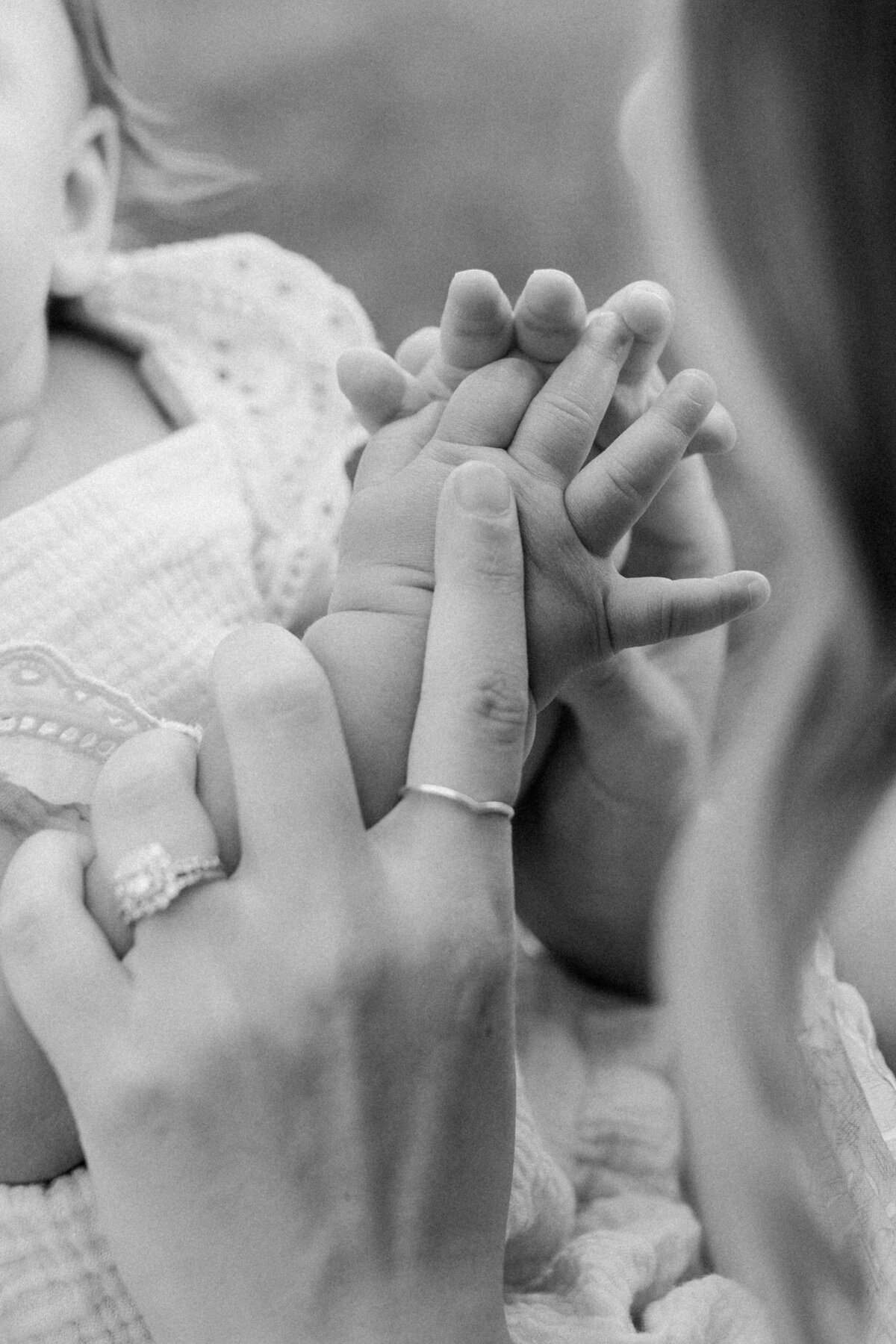 Rachel Joseph Photography - 4 2