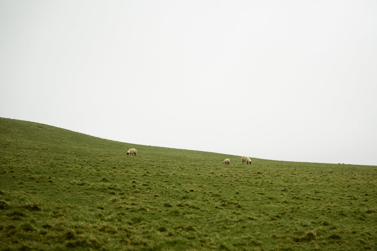 dublin-22