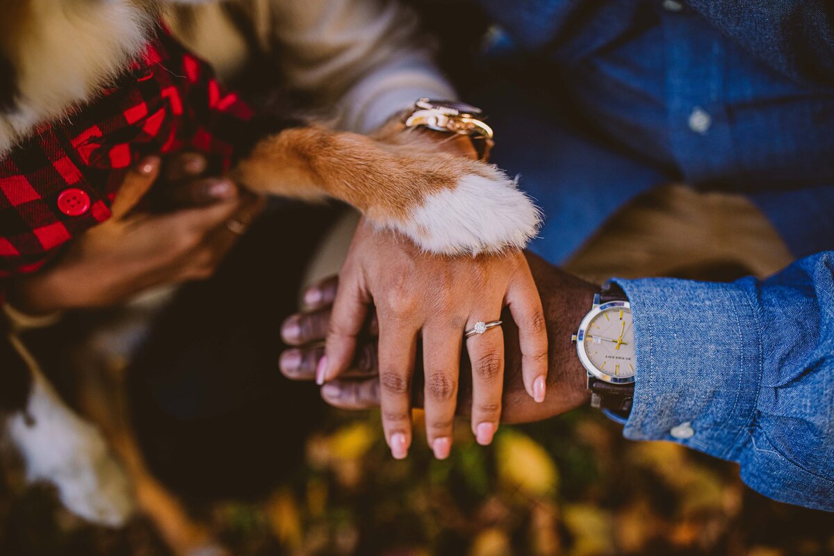 An engaged couple putting their hands on top of each other with the ring in view with the dog's paw on top of the hand