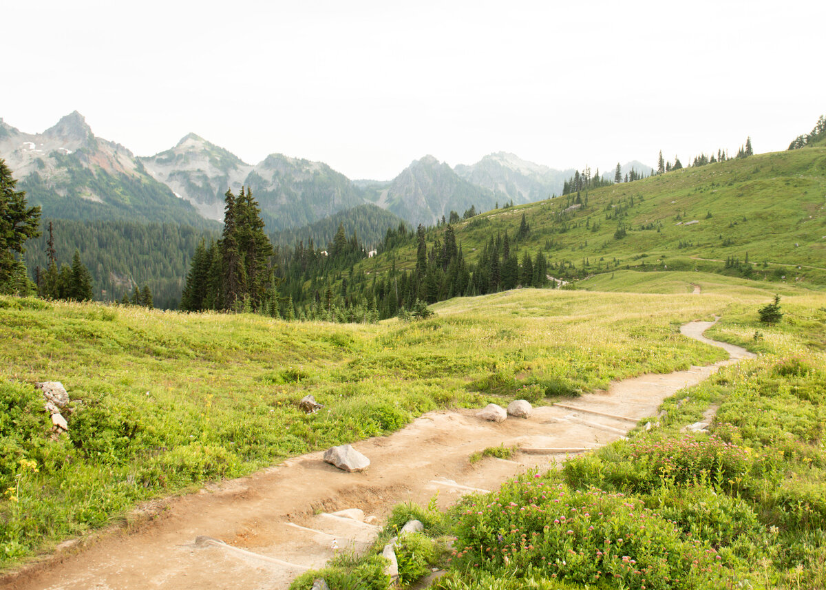 Mount Rainier National Park Trail Photography