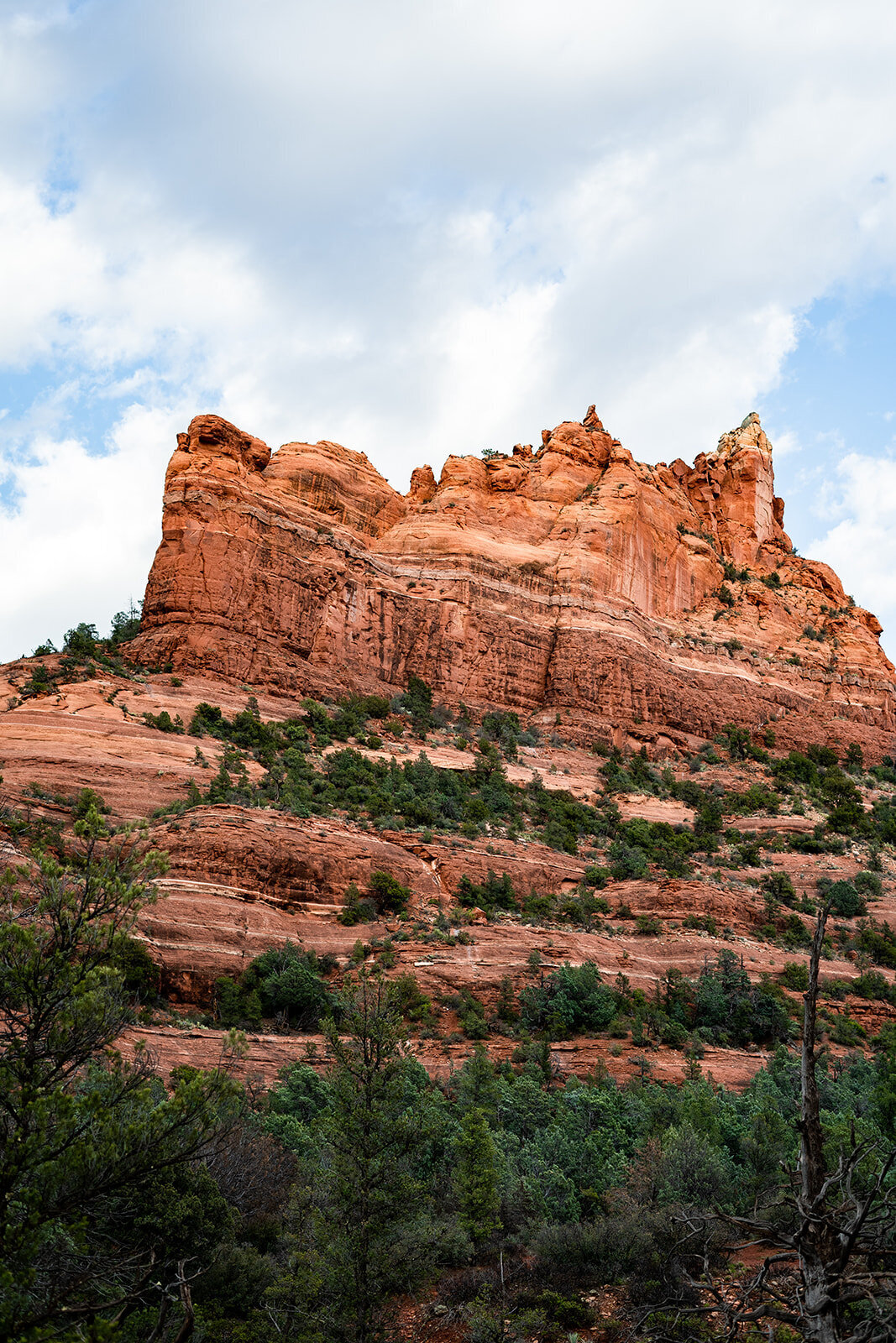 arizona-engagement-photographer38