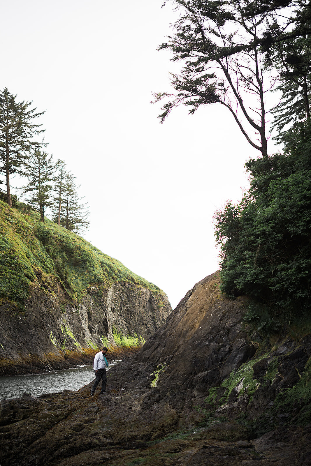 Final_Seaview Washington Elopement - Tara Nichole Photo - 2024 - Lauren and Jarrod-147