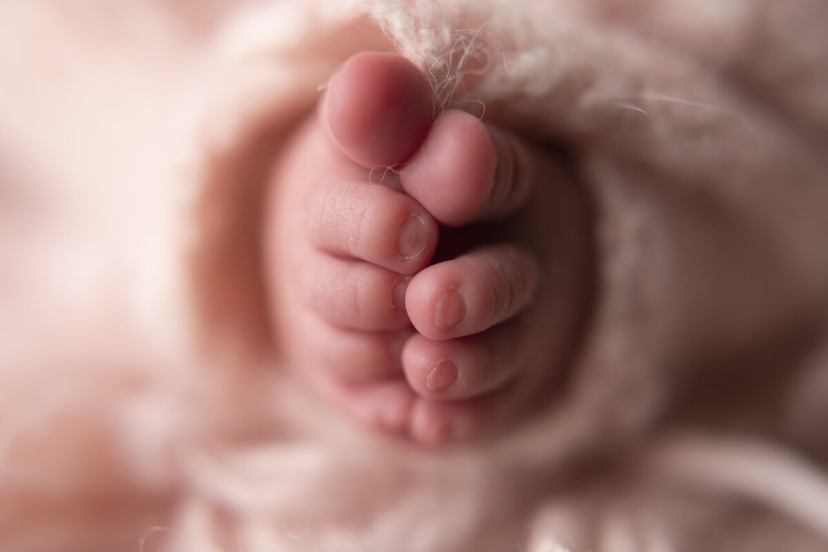 Newborn evelyn-214 copy