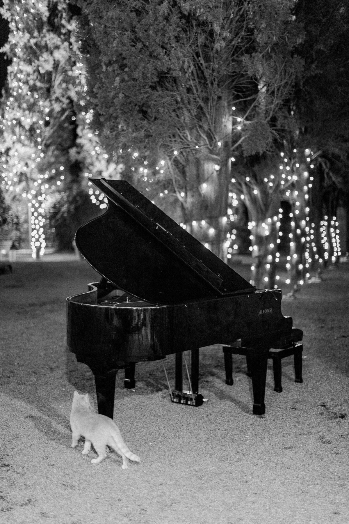 Maïlys Fortune Photography Husband Wife Wedding Weddings Photography France Switzerland Italy Timeless Dreamy Imagery Bilingual French English Destination Weddings Destination Wedding Provence French Riviera Paris Lake Como Tuscany166