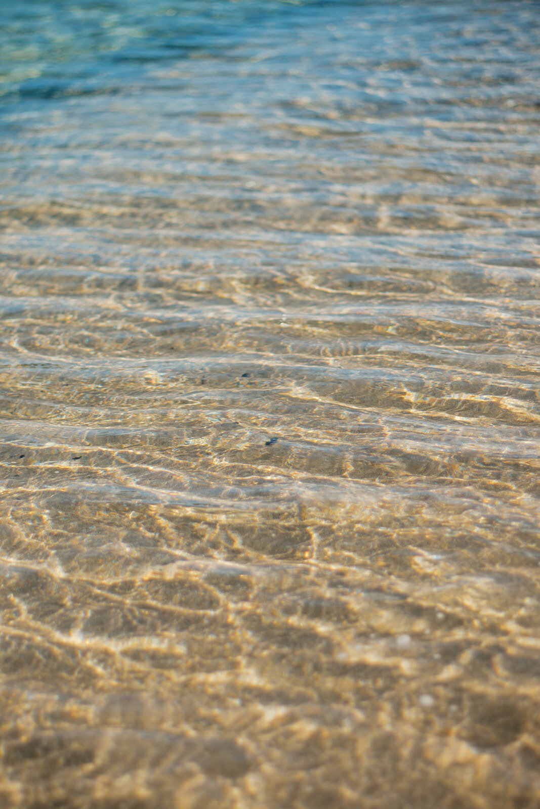 Peter Island-593