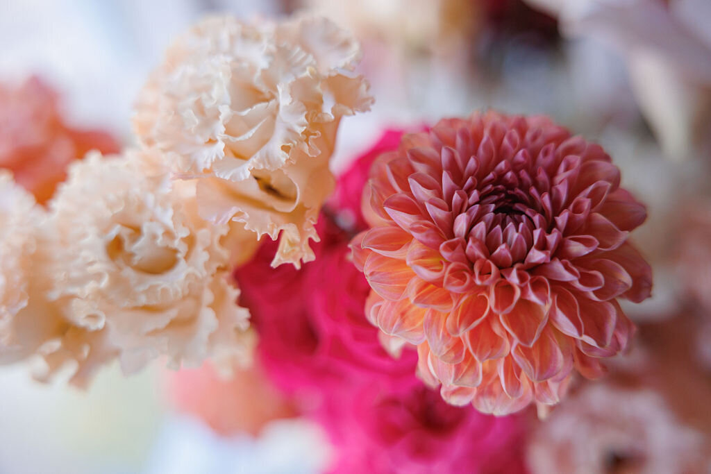Firle Place Wedding  (4)