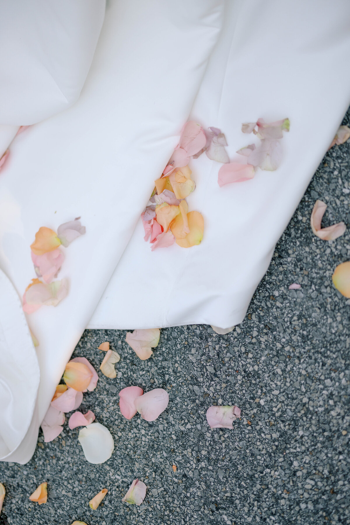 Jessie Newton Photography-Noah and Rachel-81