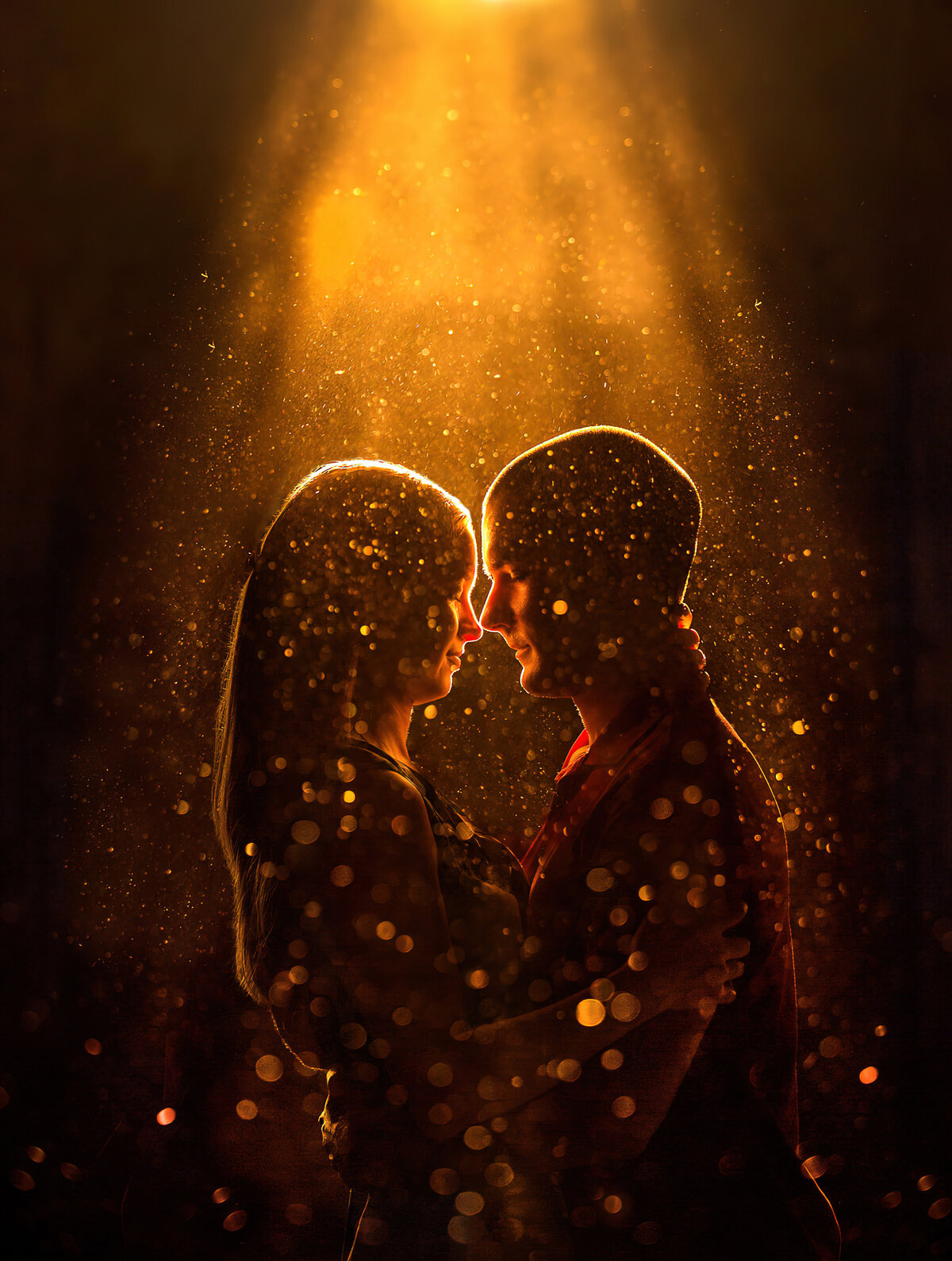 gold-couple-photo-glitter