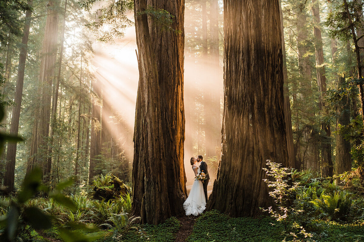 elopement-photographer-between-the-pine