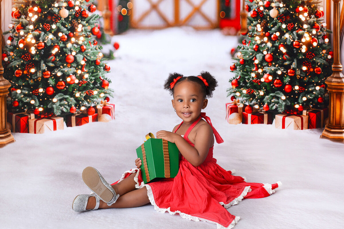houstonchristmasminis (1)