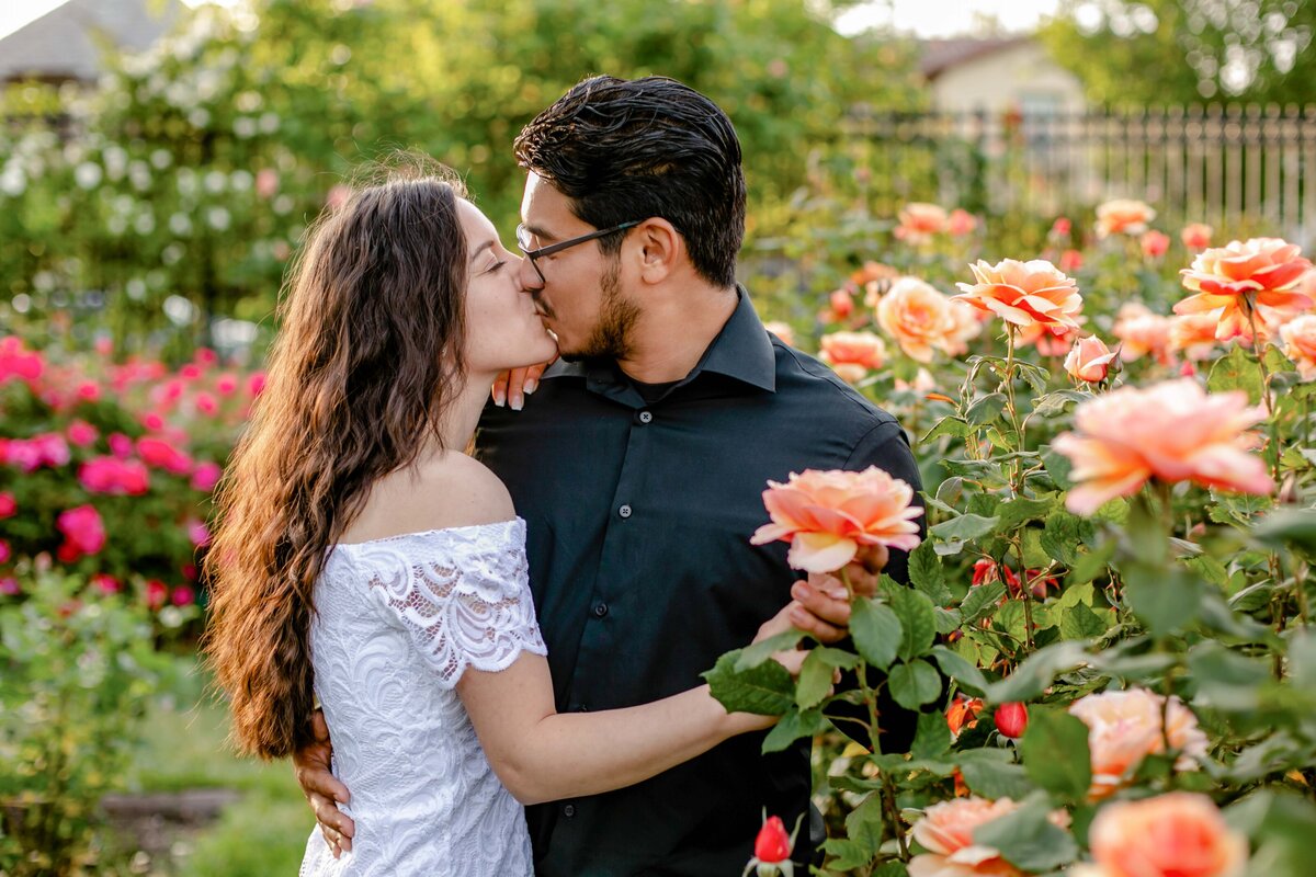 San Jose Rose Gardenl Session-17
