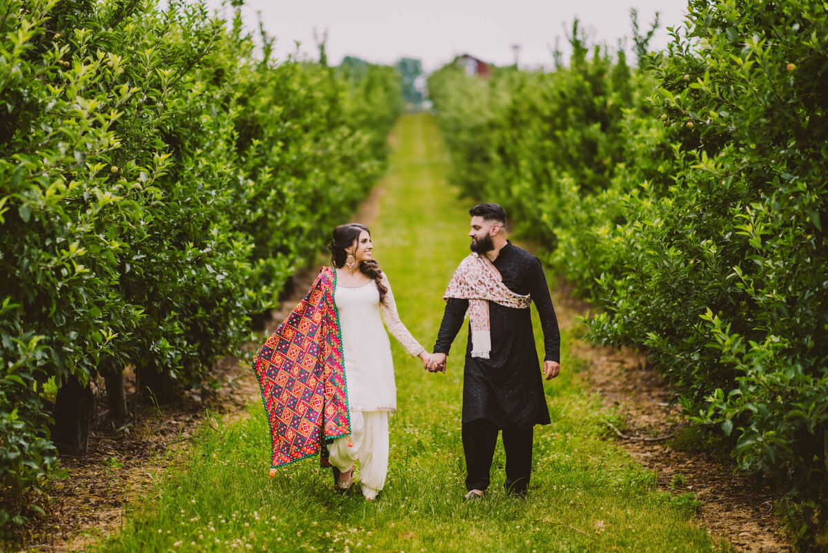 Engagement couple walking through the vineyard in traditional punjabi clothing at alstede farms