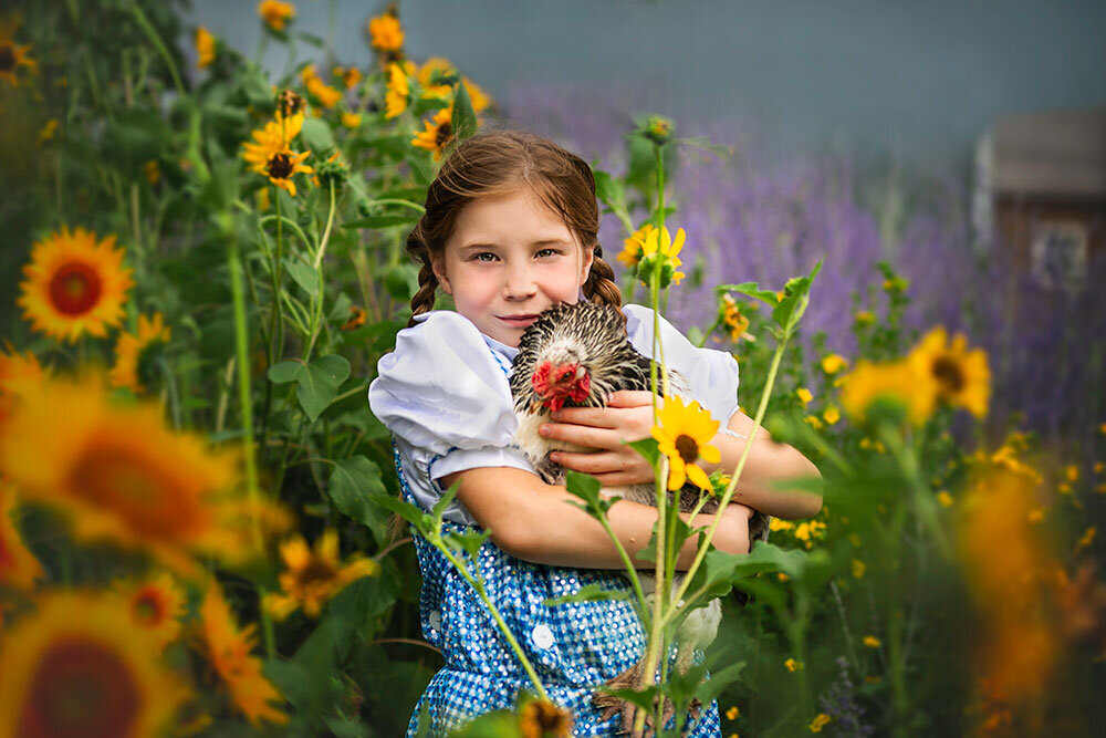 vibrant-colors-cinematic-wizard-of-oz-sunflowers-chicken-stormy-sky-fine-art-children-best-colorado-photographer