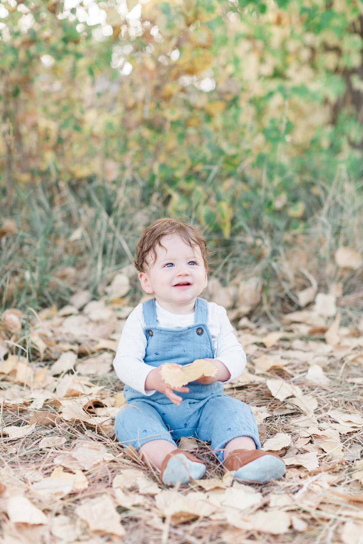 Baby sitting in leaves during Denver Family session