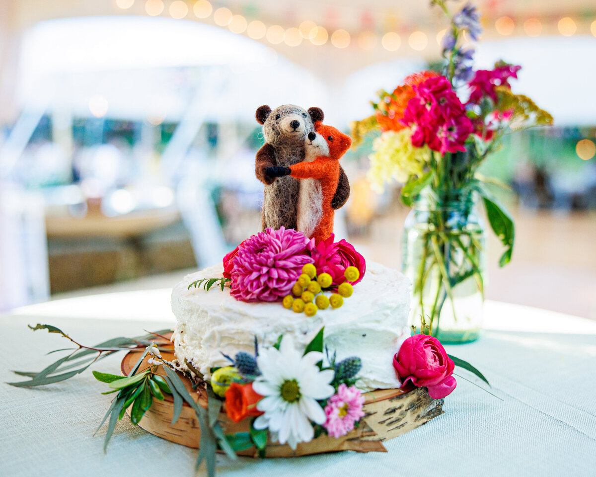 Adirondack_Wedding-photos-1019