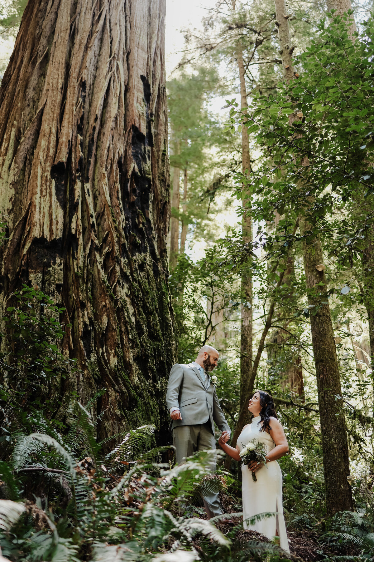 Redwood Forest Elopement_California_Megan Maundrell Photography Inc (27 of 32)