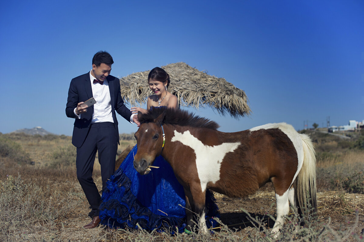 Jancy and Thomas (423 of 888)