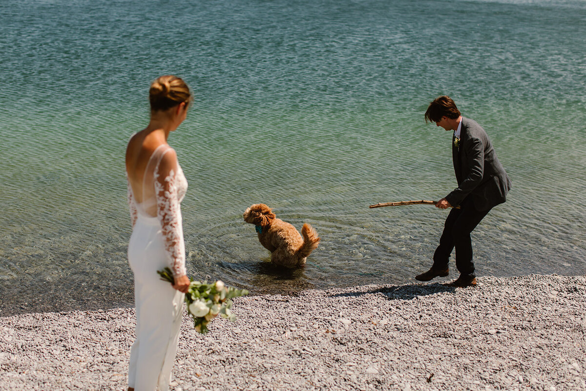 prince-edward-county-elopement-photographer-dog